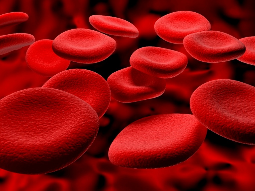 Scienza: globuli rossi hanno doti diagnostiche per riconoscere velocemente l’anemia in un paziente