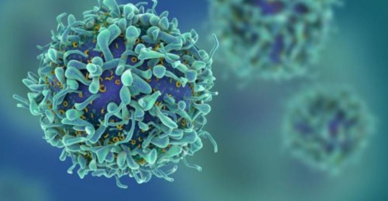 La Northwestern University dichiara guerra ai tumori: scoperto codice autodistruzione delle cellule