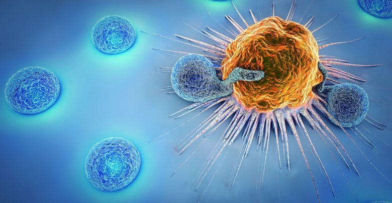 Contro mieloma multiplo arriva procedura di immunoterapia cellulare adottiva: le cellule Car-T